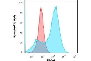 Flow Cytometric Analysis of A549 cells using S100A4 Mouse Monoclonal Antibody (S100A4/1481) followed by goat anti-Mouse IgG-CF488 (Blue); Isotype Control (Red). (s100a4 抗体  (AA 1-200))