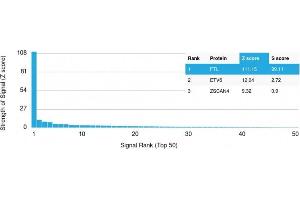 Analysis of Protein Array containing more than 19,000 full-length human proteins using Ferritin, Light Chain Mouse Monoclonal Antibody (FTL/1389) Z- and S- Score: The Z-score represents the strength of a signal that a monoclonal antibody (MAb) (in combination with a fluorescently-tagged anti-IgG secondary antibody) produces when binding to a particular protein on the HuProtTM array.
