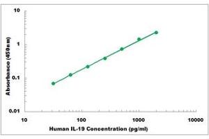 Representative Standard Curve (IL-19 ELISA 试剂盒)