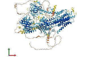 Protein Structure (PS) image for ATPase, Class V, Type 10D (ATP10D) (AA 1-1426) protein (His tag) (ABIN7552477)
