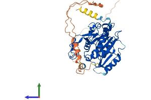 Protein Structure (PS) image for UDP-Gal:betaGlcNAc beta 1,3-Galactosyltransferase, Polypeptide 2 (B3GALT2) (AA 1-422) protein (His tag) (ABIN7562439)