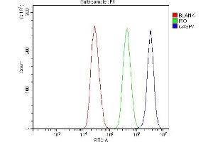 Flow Cytometry analysis of MCF-7 cells using anti-Caspase-7/CASP7 antibody (ABIN7600823).