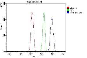 Flow Cytometry analysis of HeLa cells using anti-IRF1 antibody (ABIN7600281).
