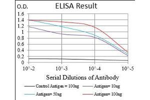 Black line: Control Antigen (100 ng), Purple line: Antigen(10 ng), Blue line: Antigen (50 ng), Red line: Antigen (100 ng), (CDX2 抗体  (AA 176-303))