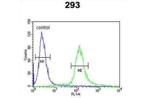 Flow Cytometry (FACS) image for anti-EPS8-Like 3 (EPS8L3) antibody (ABIN3002873) (EPS8-Like 3 抗体)