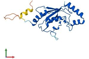 AlphaFold protein structure predicition of Mouse Recombinant Ube2f Protein, UniprotID Q9CY34