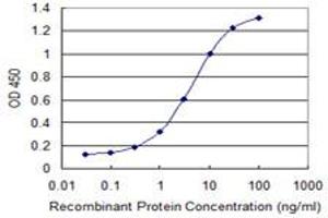 Detection limit for recombinant GST tagged CALN1 is 0. (Calneuron 1 抗体  (AA 36-106))