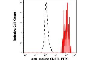Separation of murine CD62L positive cells (red-filled) from murine CD62L negative cells (black-dashed) in flow cytometry analysis (surface staining) of murine splenocyte suspension stained using anti-mouse CD62L (Mel-14) FITC antibody (concentration in sample 9 μg/mL). (L-Selectin 抗体  (FITC))