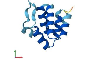 Protein Structure (PS) image for PYD (Pyrin Domain) Containing 1 (PYDC1) (AA 1-89) protein (His tag) (ABIN7551102)