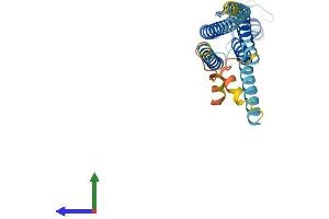 Protein Structure (PS) image for Gap Junction Protein, beta 6, 30kDa (GJB6) (AA 1-261) protein (His tag) (ABIN7546853)