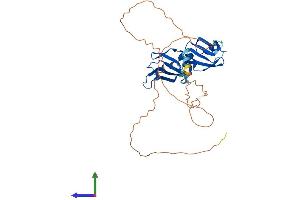 AlphaFold protein structure predicition of Mouse Recombinant Hnrnpa2b1 Protein, UniprotID O88569