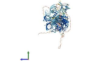 AlphaFold protein structure predicition of Human Recombinant MOV10L1 Protein, UniprotID Q9BXT6