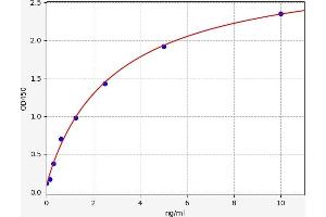 Typical standard curve (Agtr1b ELISA 试剂盒)