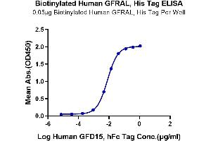 Immobilized Biotinylated Human GFRAL, His Tag at 0. (GFRAL Protein (AA 19-351) (His-Avi Tag,Biotin))