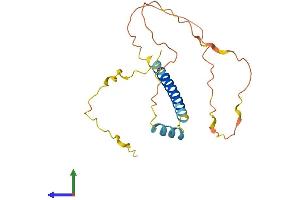 AlphaFold protein structure predicition of Human Recombinant BBC3 Protein, UniprotID Q9BXH1 (PUMA Protein (AA 1-193) (His tag))