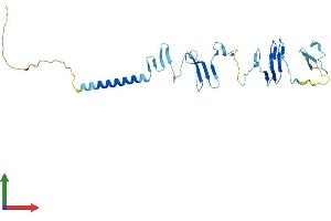 AlphaFold protein structure predicition of Human Recombinant SGCG Protein, UniprotID Q13326
