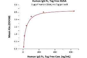 Immobilized Human CD64, His Tag  at 10 μg/mL (100 μL/well) can bind Human IgG Fc, Tag Free (ABIN2181271,ABIN2181270) with a linear range of 7-41 ng/mL (QC tested). (HEK-293 Cells IgG1 同型对照)