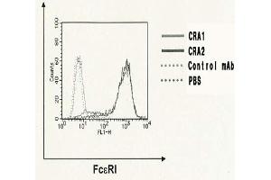 Flow Cytometry (FACS) image for anti-Fc Fragment of IgE Receptor Ia (FCER1A) antibody (Biotin) (ABIN2451977) (Fc epsilon RI/FCER1A 抗体  (Biotin))