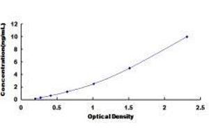 ELISA image for Sodium Channel, Nonvoltage-Gated 1 alpha (SCNN1A) ELISA Kit (ABIN433593)