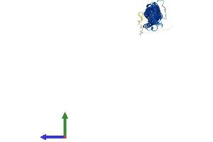 Protein Structure (PS) image for Tektin 4 (TEKT4) (AA 1-447) protein (His tag) (ABIN7556973)