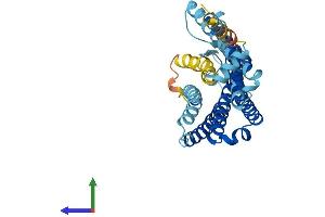 Protein Structure (PS) image for Olfactory Receptor, Family 6, Subfamily B, Member 3 (OR6B3) (AA 1-331) protein (His tag) (ABIN7550383)