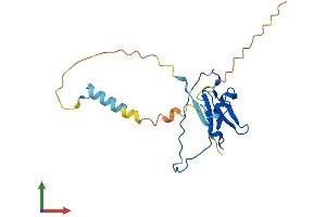 Protein Structure (PS) image for POM121 and ZP3 Fusion (POMZP3) (AA 1-187) protein (His tag) (ABIN7550909)