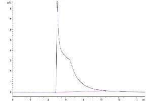 Size-exclusion chromatography-High Pressure Liquid Chromatography (SEC-HPLC) image for Macrophage Migration Inhibitory Factor (Glycosylation-Inhibiting Factor) (MIF) (AA 2-115) protein (His tag) (ABIN7275261)