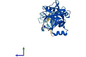 Protein Structure (PS) image for Phytanoyl-CoA 2-Hydroxylase Interacting Protein (PHYHIP) (AA 1-330) protein (His tag) (ABIN7559440)