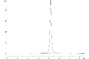 Size-exclusion chromatography-High Pressure Liquid Chromatography (SEC-HPLC) image for Interleukin 5 Receptor, alpha (IL5RA) (AA 18-339) protein (His tag) (ABIN7275042)
