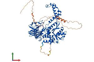 Protein Structure (PS) image for Chromosome 14 Open Reading Frame 169 (C14orf169) (AA 1-603) protein (His tag) (ABIN7565099)