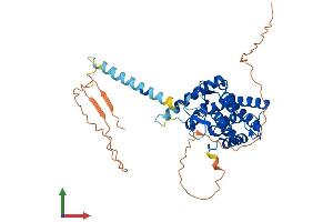 Protein Structure (PS) image for Failed Axon Connections Homolog (Drosophila) (FAXC) (AA 1-409) protein (His tag) (ABIN7557230)