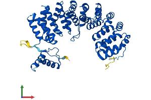 Protein Structure (PS) image for Armadillo Repeat Containing 6 (ARMC6) (AA 1-468) protein (His tag) (ABIN7558787)