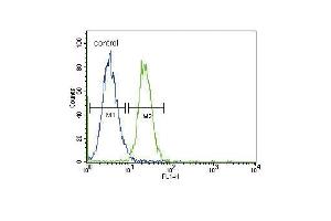 GADD45A Antibody (N-term) (ABIN389281 and ABIN2839407) flow cytometric analysis of K562 cells (right histogram) compared to a negative control cell (left histogram). (GADD45A 抗体  (N-Term))