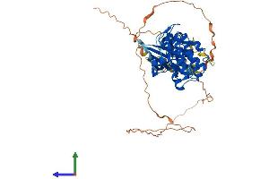 AlphaFold protein structure predicition of Mouse Recombinant Smok2a Protein, UniprotID Q9QYZ6