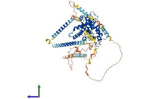 Protein Structure (PS) image for Dystrobrevin, beta (DTNB) (AA 1-659) protein (His tag) (ABIN7562582)