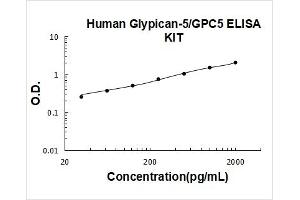Glypican 5 (GPC5) ELISA Kit