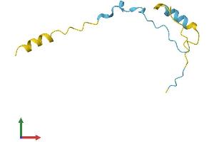 Protein Structure (PS) image for CDC42 Small Effector 2 (CDC42SE2) (AA 1-84) protein (Fc Tag) (ABIN7552857)