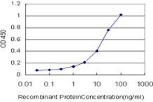 Detection limit for recombinant GST tagged UGT2B10 is approximately 0. (UGT2B10 抗体  (AA 62-159))