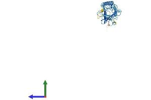 AlphaFold protein structure predicition of Mouse Recombinant Sgcd Protein, UniprotID P82347