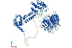 Protein Structure (PS) image for Kelch-Like 20 (KLHL20) (AA 1-604) protein (His tag) (ABIN7564731)