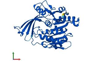 Protein Structure (PS) image for Ketohexokinase (KHK) (AA 1-298) protein (His tag) (ABIN7548781)