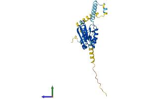Protein Structure (PS) image for Phosducin-Like 2 (PDCL2) (AA 1-241) protein (His tag) (ABIN7550585)