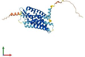 AlphaFold protein structure predicition of Mouse Recombinant Gpr17 Protein, UniprotID Q6NS65