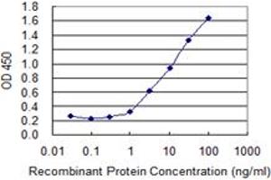 ELISA image for anti-Acetyl-CoA Acyltransferase 1 (ACAA1) (AA 217-316) antibody (ABIN599345) (ACAA1 抗体  (AA 217-316))