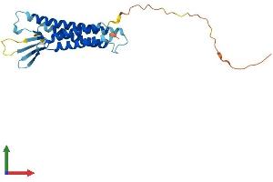 Protein Structure (PS) image for Claudin 19 (CLDN19) (AA 1-224) protein (His tag) (ABIN7561492)