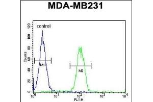 EGLN2 Antibody (Center) (ABIN652648 and ABIN2842435) flow cytometric analysis of MDA-M cells (right histogram) compared to a negative control cell (left histogram). (PHD1 抗体  (AA 194-221))