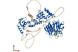 Protein Structure (PS) image for Kelch-Like 1 (KLHL1) (AA 1-748) protein (His tag) (ABIN7548929)