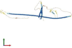 AlphaFold protein structure predicition of Human Recombinant CEP57 Protein, UniprotID Q86XR8