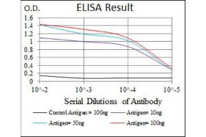 ELISA image for anti-Myogenic Factor 6 (MYF6) (AA 85-150) antibody (ABIN1845795)