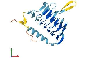 AlphaFold protein structure predicition of Human Recombinant DCTN5 Protein, UniprotID Q9BTE1